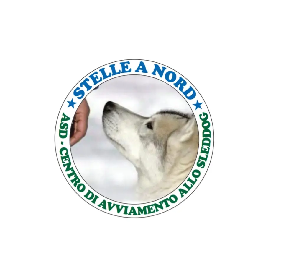Cani da Slitta, sled dog in Trentino Alpecimbra Lavarone Folgaria Luserna